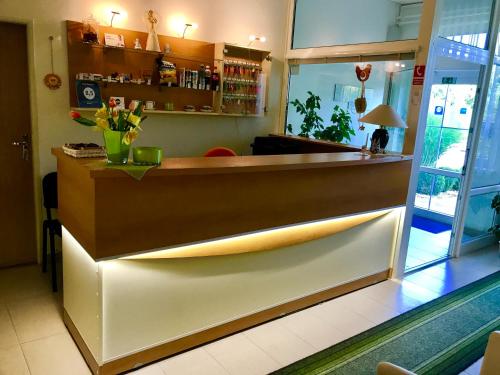 Gambar di galeri bagi Pension Avio Angels di Žiar nad Hronom