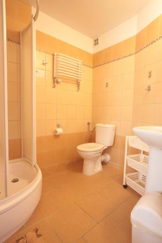 a bathroom with a toilet and a sink at Hotel Zamek in Giżycko