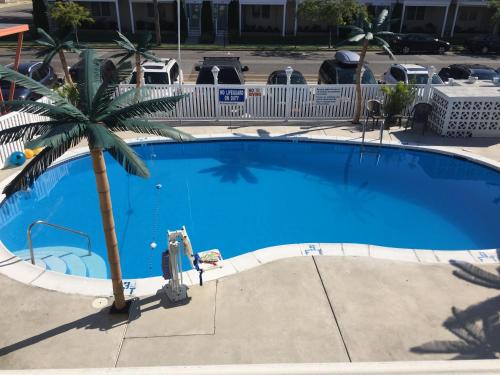Dolphin Inn – Photos 5