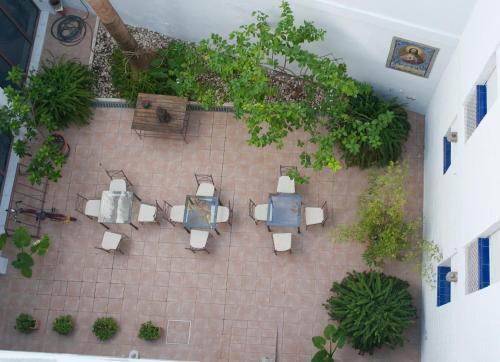 Jardin de l'établissement Hotel Alcántara