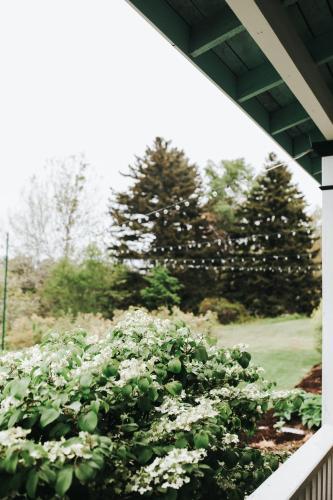 a garden with white flowers on a porch at Chebeague Island Inn in Royal Junction