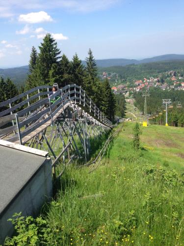 a person standing on a wooden bridge on a hill at Moderne und komfortable Appartements im Ferienpark Hahnenklee in Hahnenklee-Bockswiese