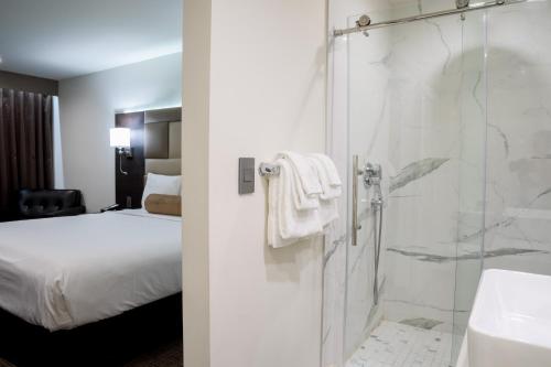 a hotel room with a bed and a shower at Hotel Xilo Glendale in Glendale