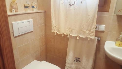 テウラーダにあるChalet del Masのシャワーカーテンとトイレ付きのバスルーム