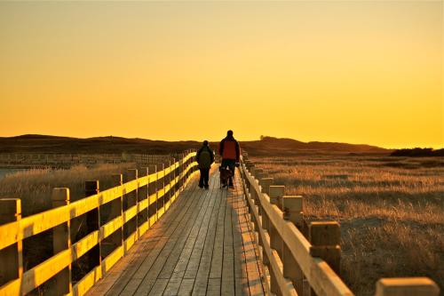 two people walking down a boardwalk with a dog at St Christopher's Hotel in Channel-Port aux Basques