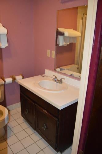 ein Bad mit einem Waschbecken und einem Spiegel in der Unterkunft Budget Inn Richlands Claypool Hill in Tazewell