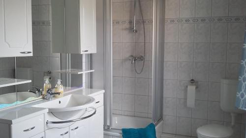 y baño con ducha, lavabo y aseo. en Ferienwohnung Bergblick en Kleingießhübel