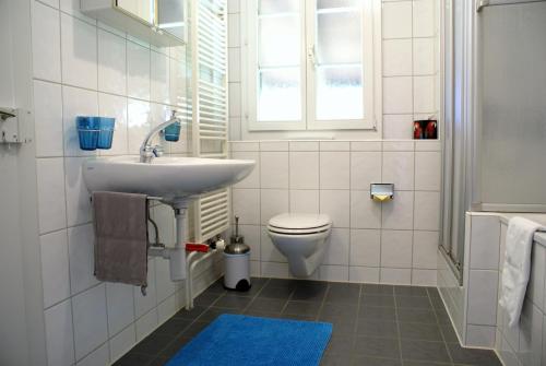 ein weißes Bad mit einem Waschbecken und einem WC in der Unterkunft Chalet am Thunersee in Oberhofen am Thunersee