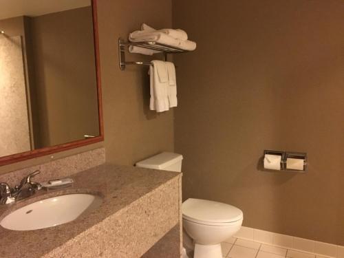 a bathroom with a sink and a toilet and a mirror at Wingate by Wyndham Coon Rapids in Coon Rapids