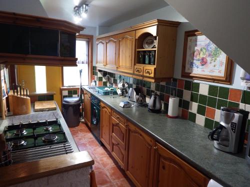 a kitchen with wooden cabinets and a stove top oven at 16 Mounthooly Street in Lerwick