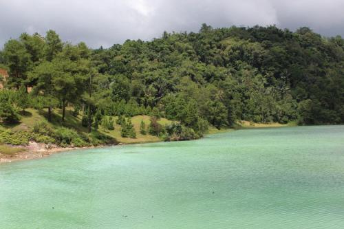 a river with green water and trees in the background at Gangga Island Resort & Spa in Serai