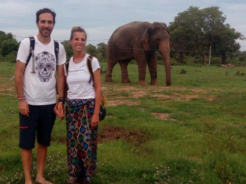 a man and woman standing in front of an elephant at My Home Guest in Polonnaruwa
