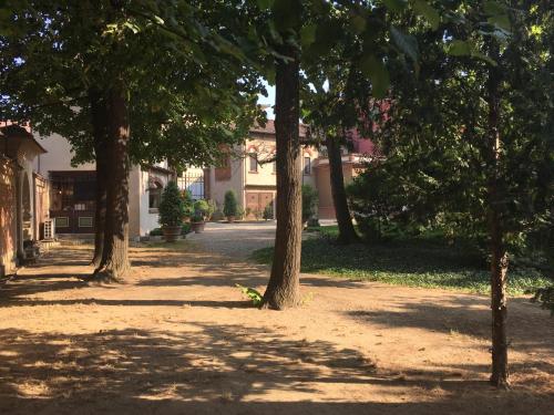 a row of trees on a dirt road at B&B San Martino in Mede