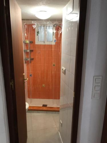 グラナダにあるApartamento en el Albaicín de Granadaのオレンジタイルのバスルーム(シャワー付)
