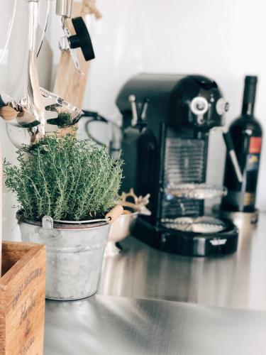 a potted plant sitting on a counter next to a coffee maker at AVLiving City LOFT Basel in Basel