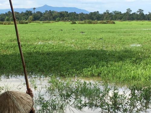 a person holding a stick in front of a field at Kingfisher Ecolodge in Ban Kian-Ngông