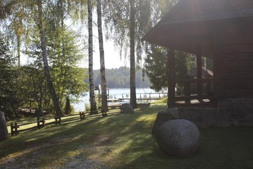 a cabin in the grass next to a body of water at Prie Klykio in Utena