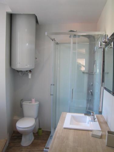 a bathroom with a toilet and a shower and a sink at Appartement de charme à la montagne in Ax-les-Thermes