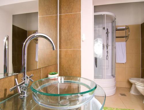 a bathroom with a glass sink and a shower at Royal Grand Suite in Cluj-Napoca