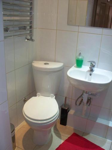 a bathroom with a toilet and a sink at The Horseshoe in Bristol