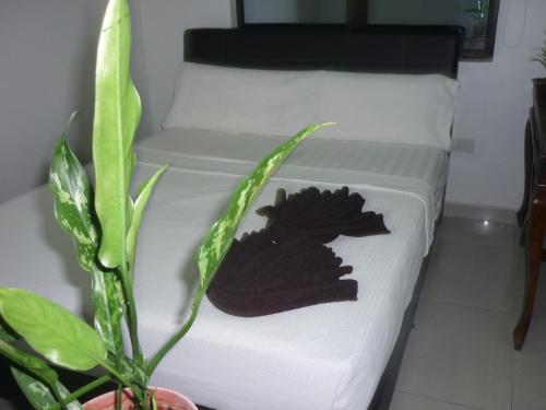 Postel nebo postele na pokoji v ubytování Hotel Paka INN