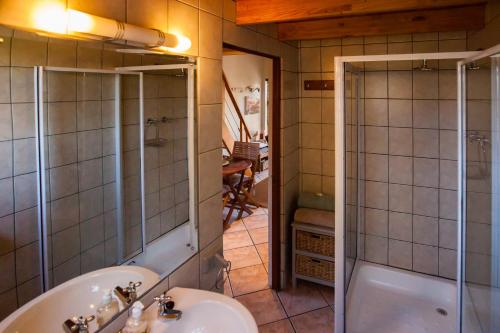 La salle de bains est pourvue d'un lavabo et d'une douche. dans l'établissement Theebos, à Strand