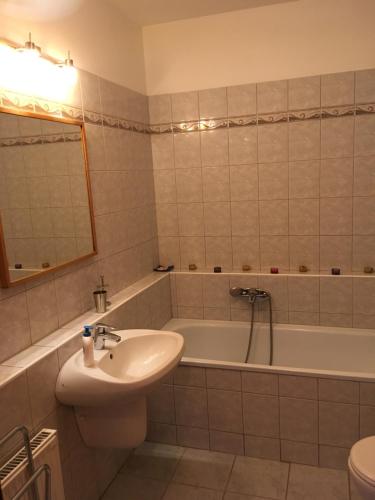 a bathroom with a sink and a bath tub at Blanca Apartman in Budapest