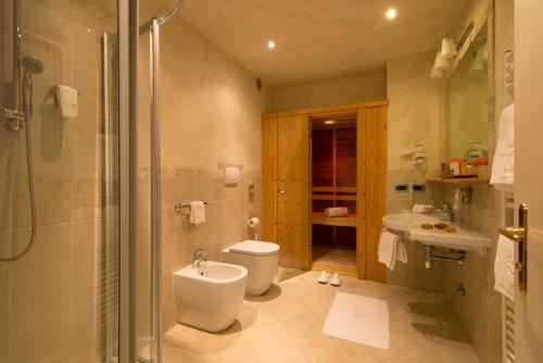 a bathroom with a toilet and a shower and a sink at Hotel Du Lac in Molveno