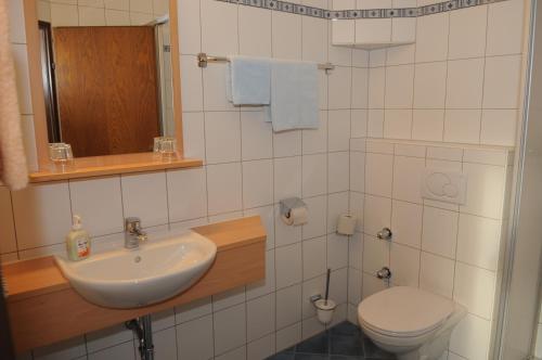a bathroom with a sink and a toilet at Innviertlerhof in Linz