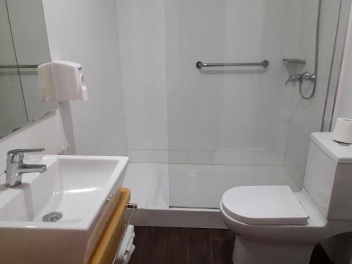 a bathroom with a toilet and a shower and a sink at Dein Haus Hotel y Departamentos in Puerto Varas