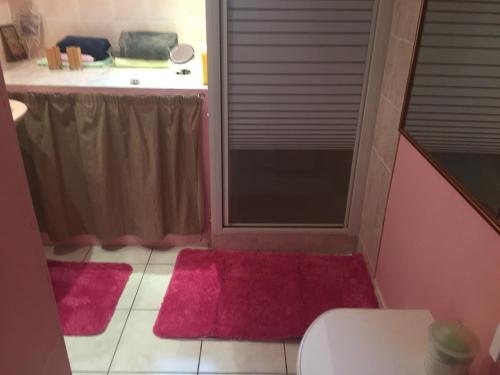 a bathroom with a toilet and two pink rugs at Les Orchidées in Carcassonne