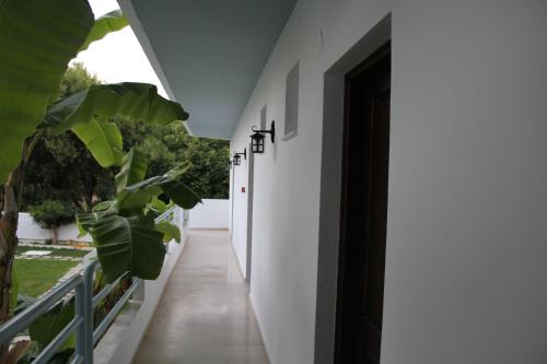 a hallway of a house with a door and a plant at Elga Hotel & apartments in Kardamaina