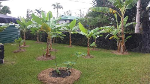 Gallery image of Robbrecht Troost Pottery in Pahoa