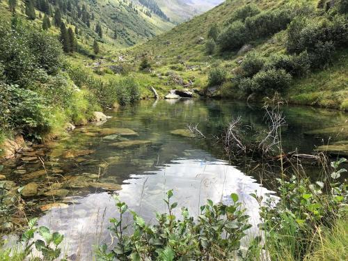 a river in the middle of a valley at Haus Ladner in See