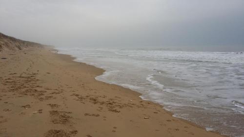 La Remigeasse – Photos 2