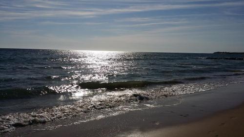 La Remigeasse – Photos 4
