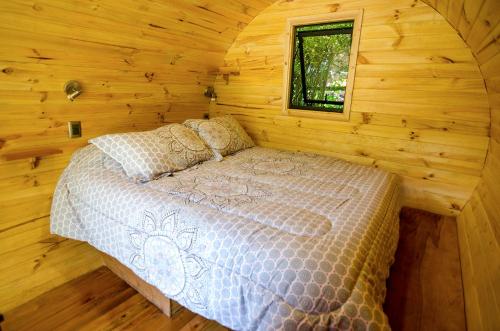 Gallery image of Chili Kiwi Lakefront Backpackers in Pucón