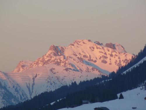 a snow covered mountain with trees in front of it at Ferienwohnung Vier Jahreszeiten in Hirschegg
