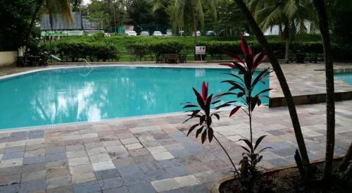 Pinang Beach Apartment @ Bayu Emas tesisinde veya buraya yakın yüzme havuzu