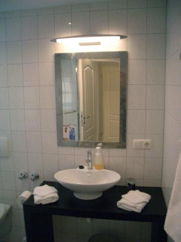 a bathroom with a sink and a mirror at Landhotel Rangau Gasthof & Brennerei in Markt Erlbach