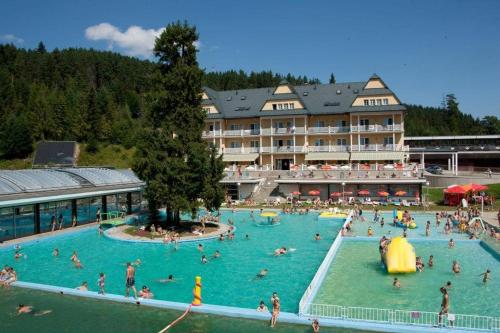 a group of people in a pool at a hotel at Pine Wood Apartment in Vyšné Ružbachy