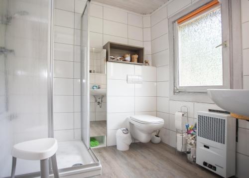 a bathroom with a toilet and a sink at Ferienhaus Auf der Heide 26-S, Winterberg-Niedersfeld in Winterberg