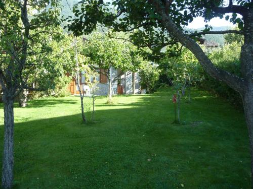 two trees in a yard with green grass at Maison Borbey in Aosta