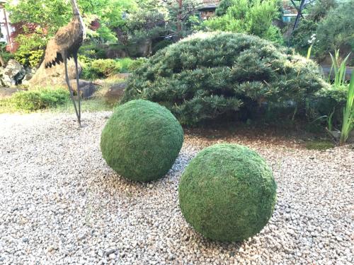a bird standing next to two green spheres at Hohoemino Kuyufu Tsuruya in Tendo