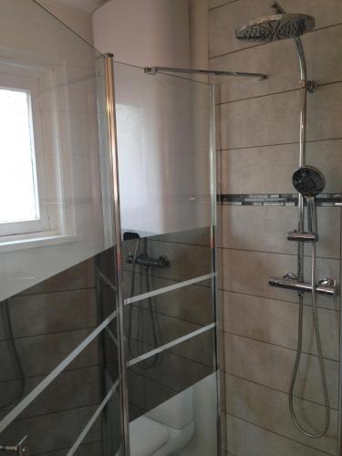 une douche avec une porte vitrée dans une salle de bain dans l'établissement Safari chic, à Lille
