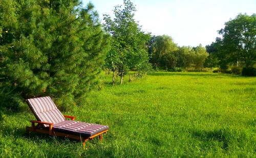 a chair sitting in the grass in a field at Willa Reglówka Stylowy dom Pachnący ogród in Wola Krakowiańska