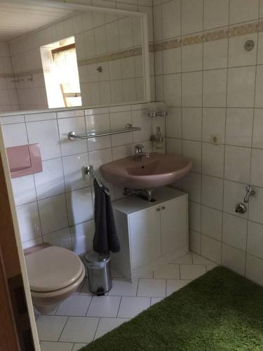 a bathroom with a sink and a toilet at Zur alten Fahrschule in Erfurt