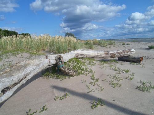 Gallery image of Tihase puhkemajake in Pärnu