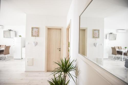 Apartment Vita