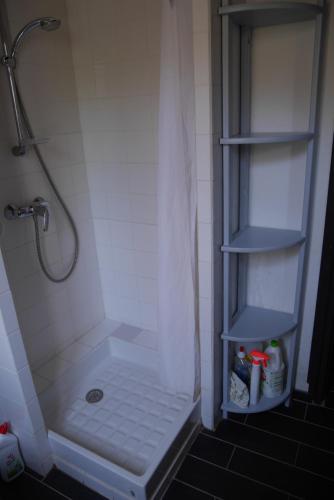 a bathroom with a shower stall with a shower at A Cittadella in Vico